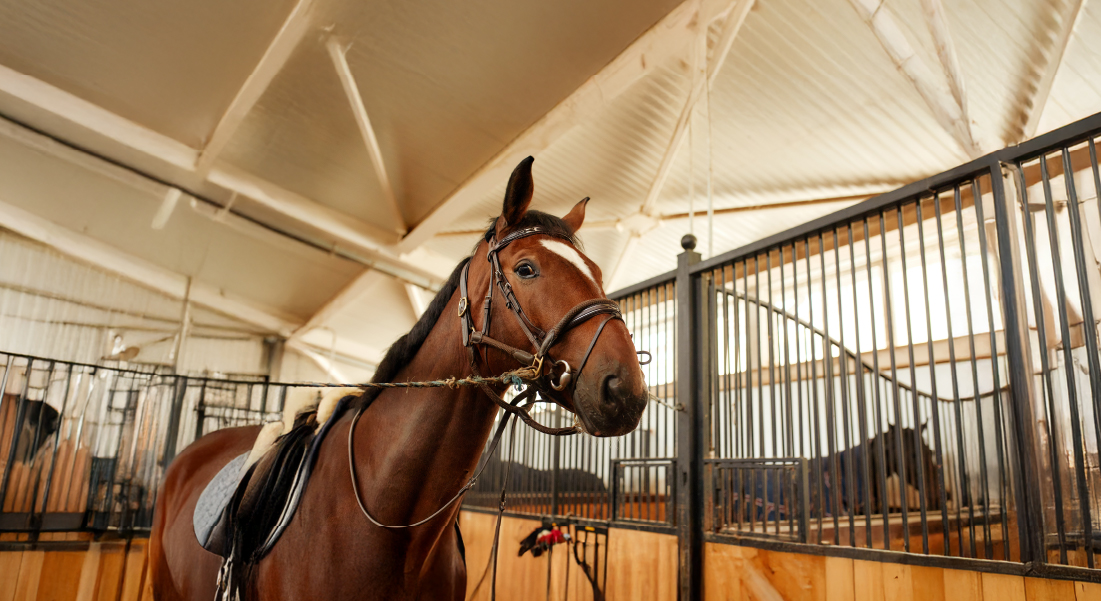 Verified stables that can be trusted